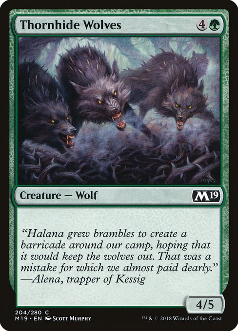 Thornhide Wolves - Core Set 2019 Common Card