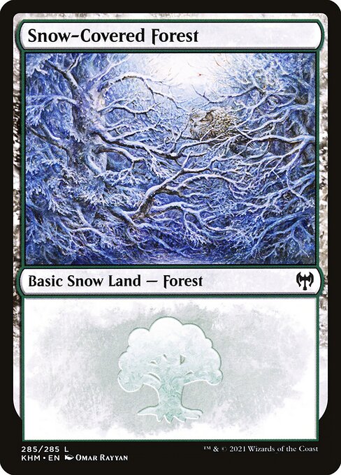 Snow-Covered Forest - Kaldheim Common Card
