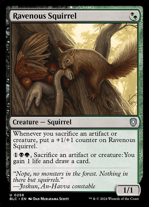Ravenous Squirrel - Bloomburrow Commander Uncommon Card